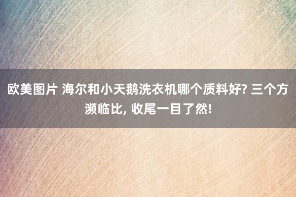 欧美图片 海尔和小天鹅洗衣机哪个质料好? 三个方濒临比， 收尾一目了然!