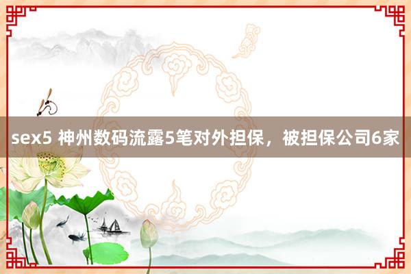 sex5 神州数码流露5笔对外担保，被担保公司6家