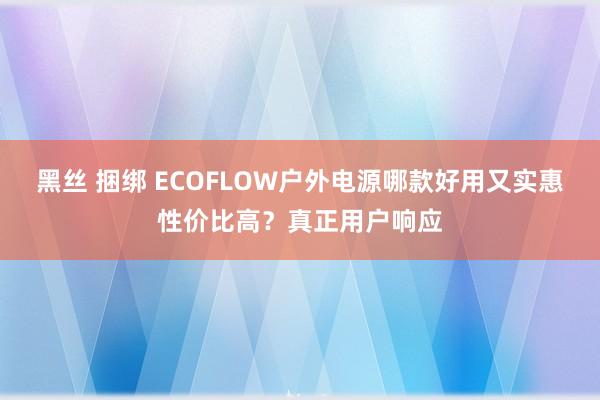黑丝 捆绑 ECOFLOW户外电源哪款好用又实惠性价比高？真正用户响应