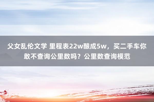 父女乱伦文学 里程表22w酿成5w，买二手车你敢不查询公里数吗？公里数查询模范