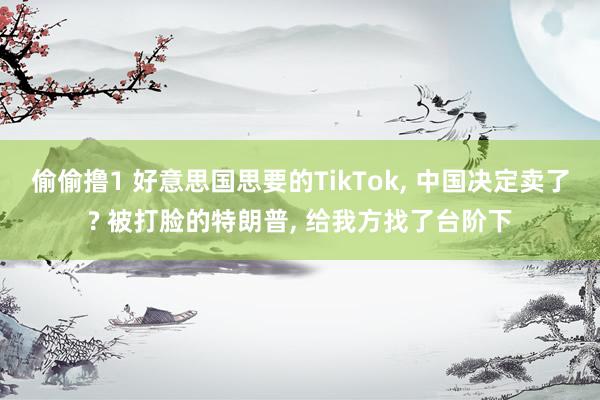 偷偷撸1 好意思国思要的TikTok， 中国决定卖了? 被打脸的特朗普， 给我方找了台阶下