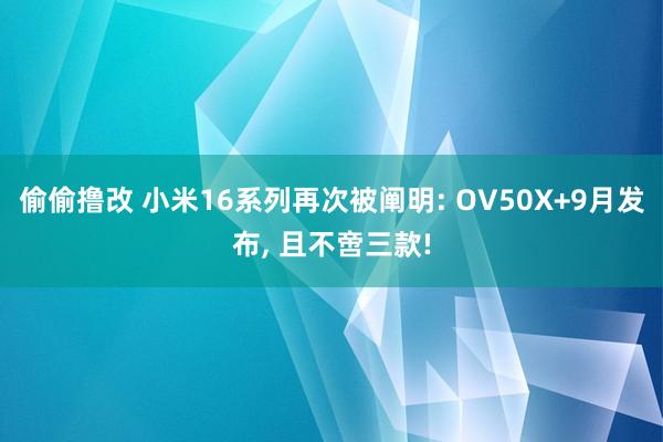 偷偷撸改 小米16系列再次被阐明: OV50X+9月发布， 且不啻三款!