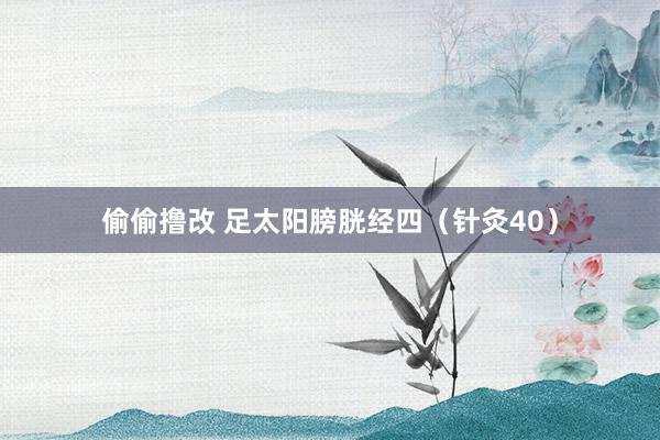 偷偷撸改 足太阳膀胱经四（针灸40）