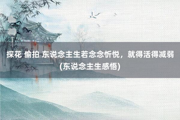 探花 偷拍 东说念主生若念念忻悦，就得活得减弱(东说念主生感悟)
