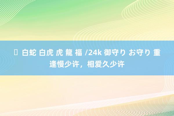 ✨白蛇 白虎 虎 龍 福 /24k 御守り お守り 重逢慢少许，相爱久少许
